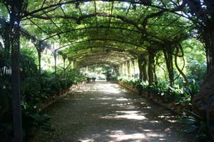 Costa del Sol, jardin botanico historico la concepcion